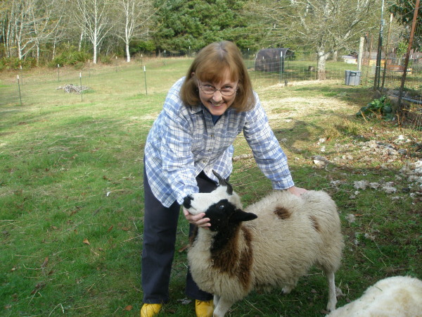 Cindy with Jacob Sheep
